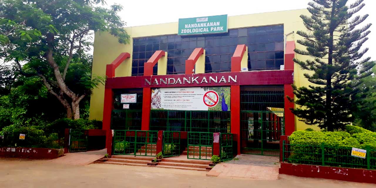 Nandan Kanan Zoo